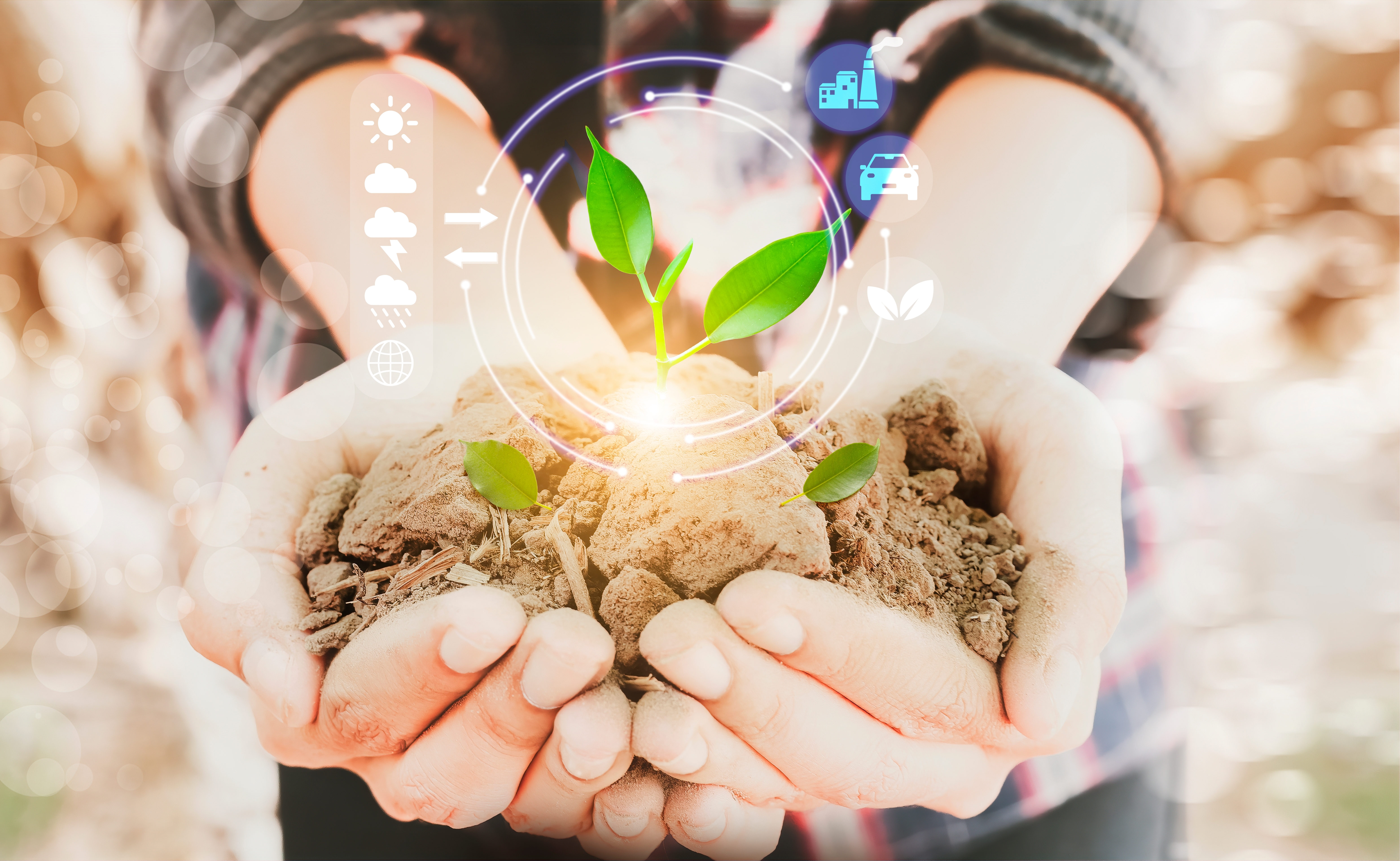 image_sustainable-soil-in-hands