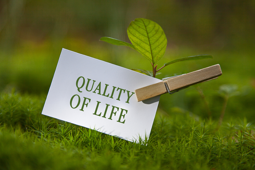 Territorial Quality of life (TQoL) Living labs 